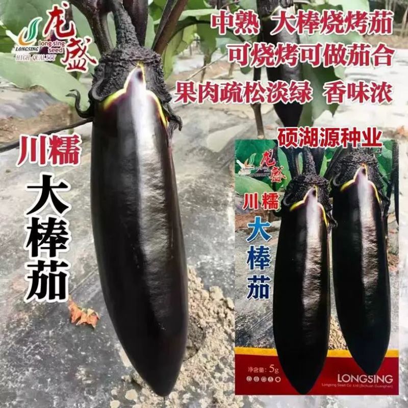龙盛川糯大棒茄种子高产黑亮棒茄绿肉茄子紫黑烧烤茄种籽春秋