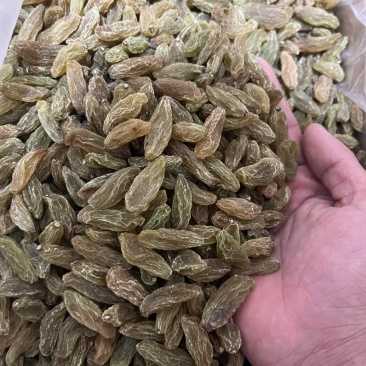 葡萄干**绿香妃