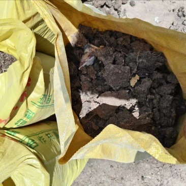 干鸡粪块，基地直发，大量有货，欢迎各位老板咨询采购