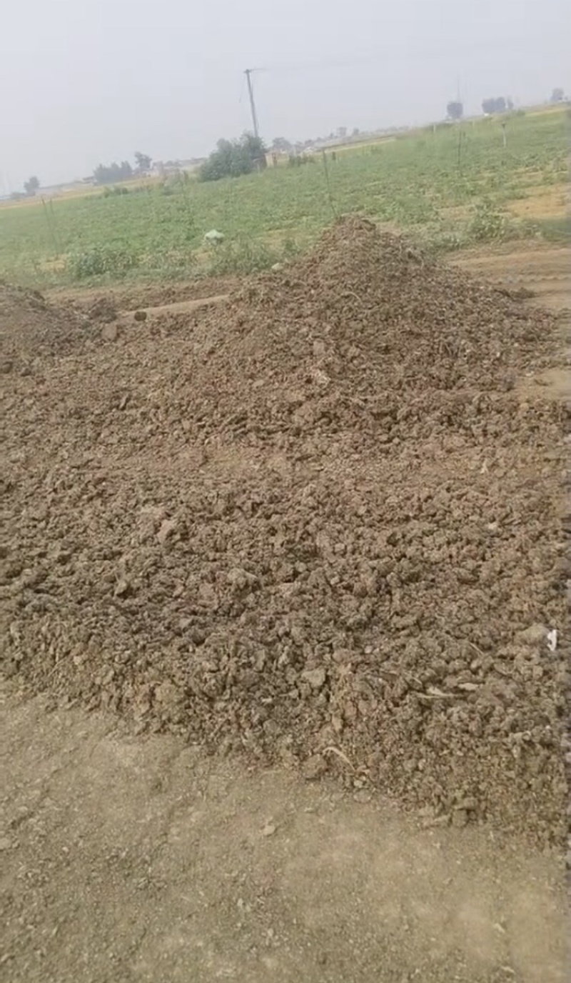 干鸡粪块，基地直发，大量有货，欢迎各位老板咨询采购