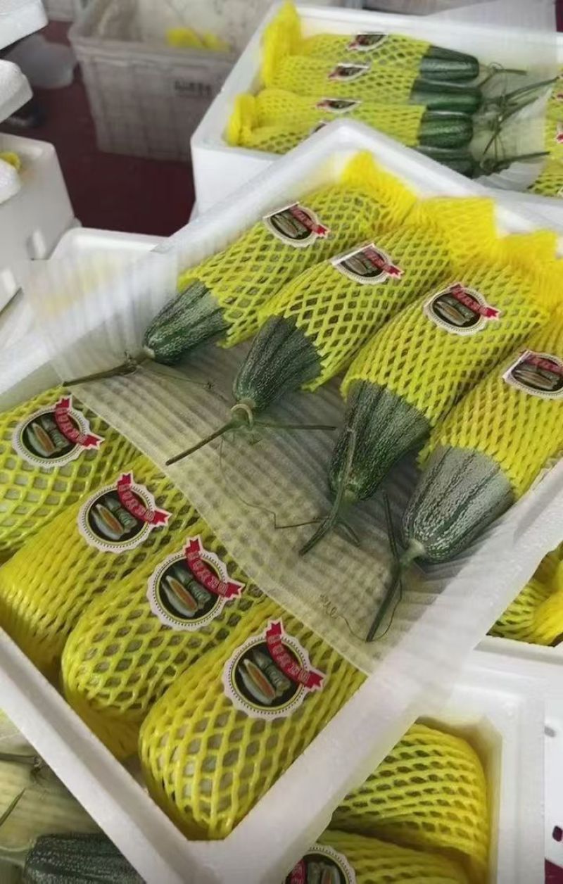 暖棚头茬羊角蜜一件代发，嘎嘎脆甜，高品质
