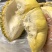 金枕榴莲一手批发价格，坏果包赔