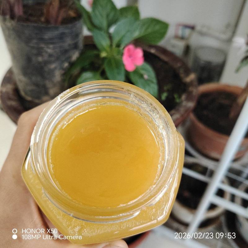 农家土蜂蜜