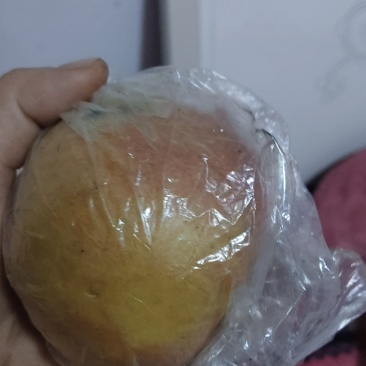 信浓甜苹果