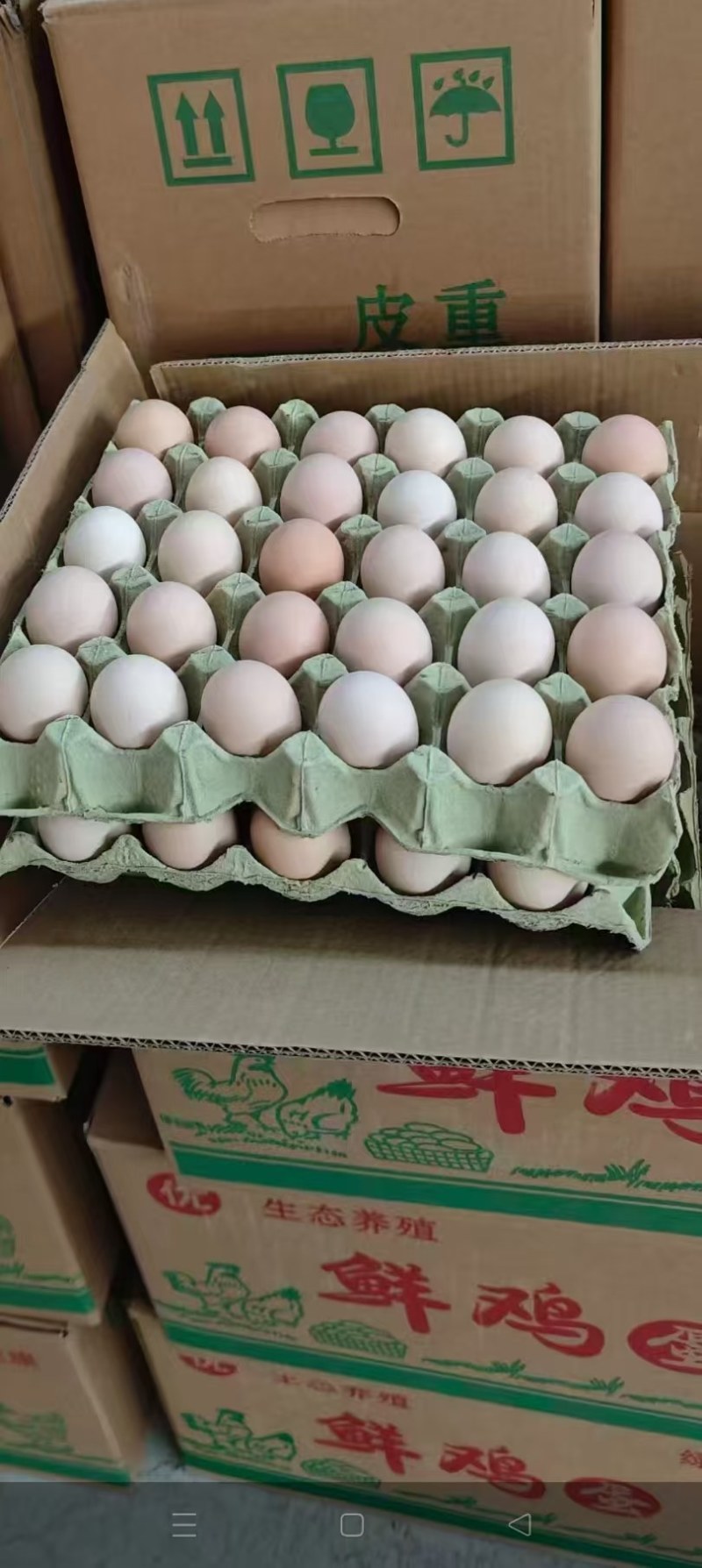 鸡蛋