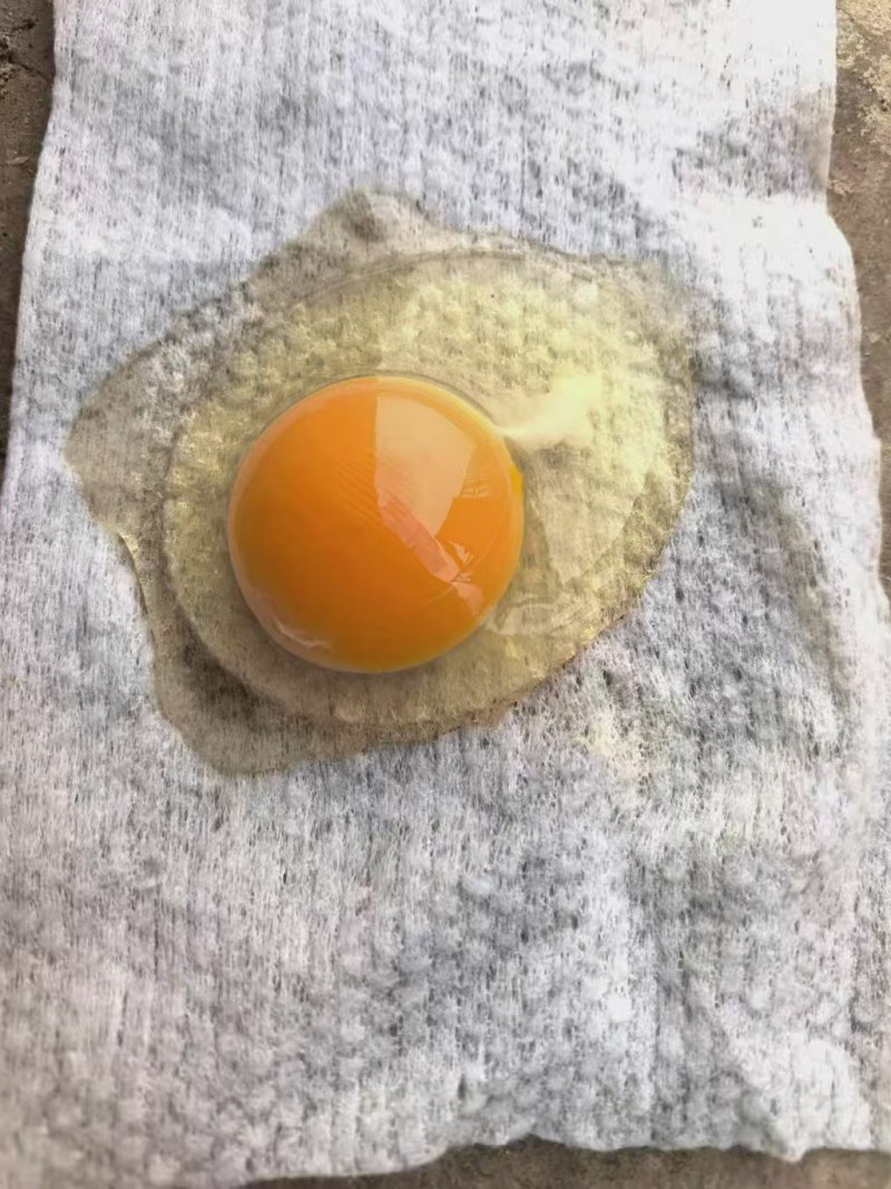 鸡蛋