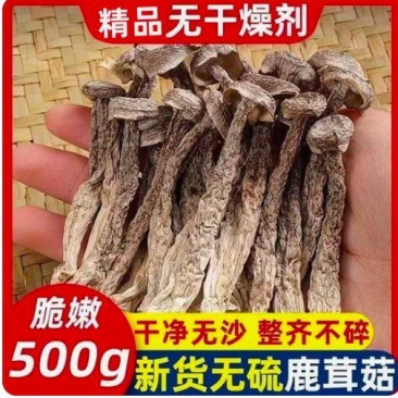 新品鹿茸菇干货10斤整件批发价鹿茸菇高品质脆菇特产鹿茸菇