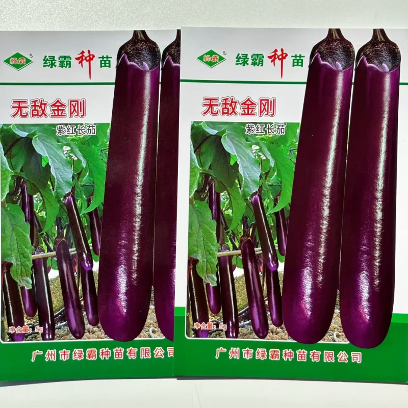 无敌金刚紫红长茄种子顺直美观果皮深紫红色中早熟紫茄子种籽