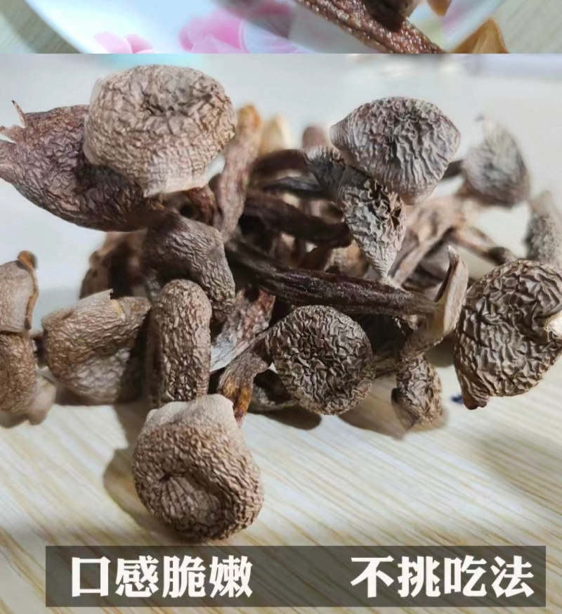 新品鹿茸菇干货10斤整件批发价鹿茸菇高品质脆菇特产鹿茸菇