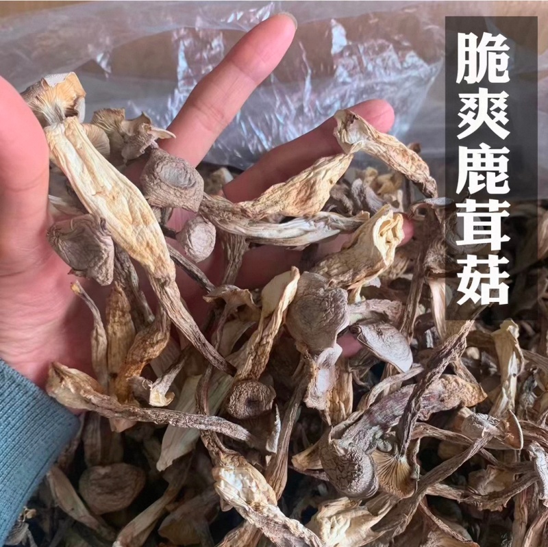 新品鹿茸菇干货10斤整件批发价鹿茸菇高品质脆菇特产鹿茸菇