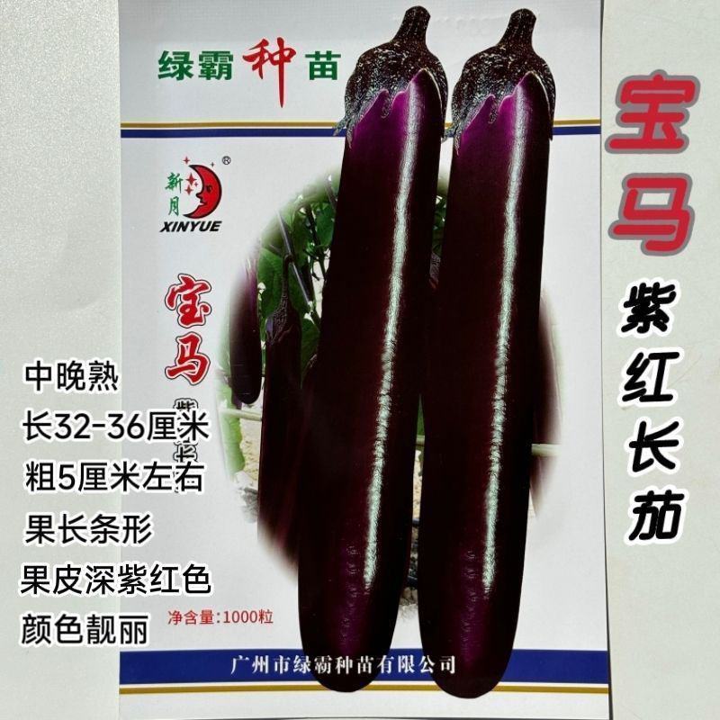 绿霸宝马紫红长茄种子紫红色长条茄不变色春秋冬季茄子种子中