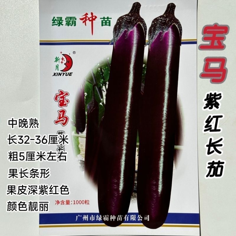 绿霸宝马紫红长茄种子紫红色长条茄不变色春秋冬季茄子种子中