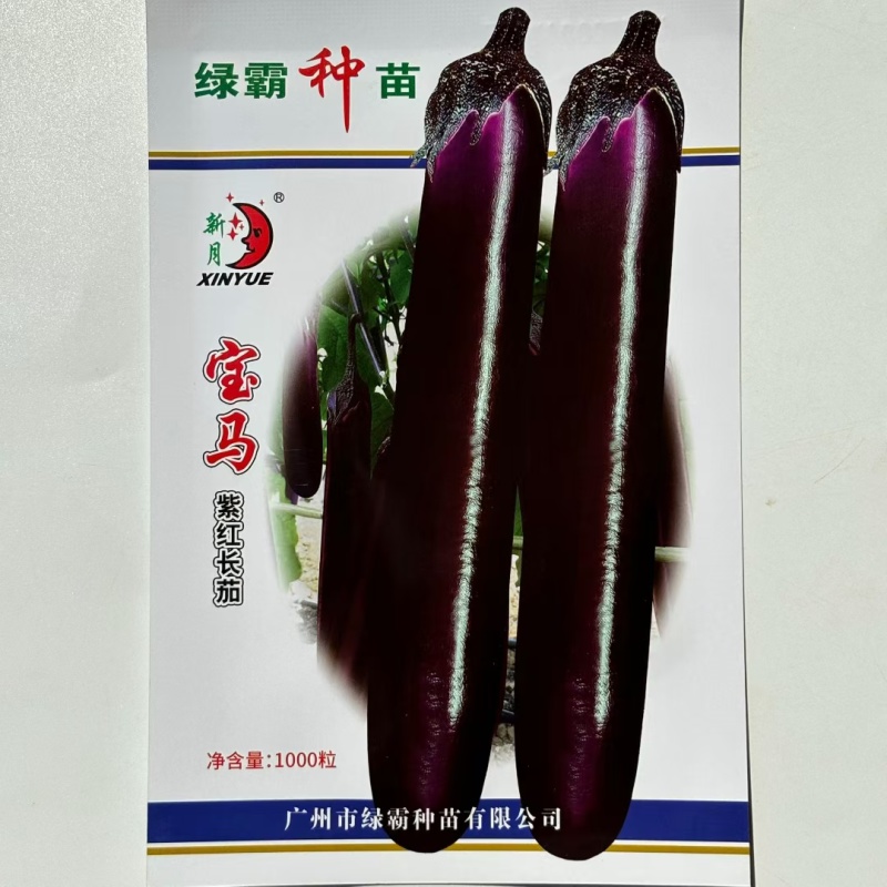 绿霸宝马紫红长茄种子紫红色长条茄不变色春秋冬季茄子种子中
