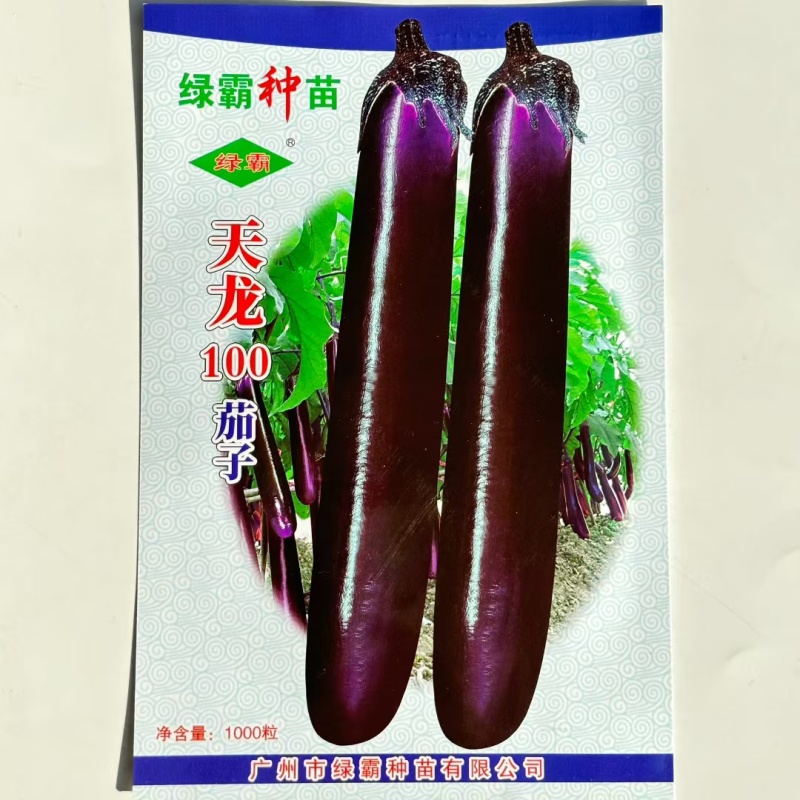 天龙100紫红长茄子种子大茄烧烤茄粗茄种籽春夏秋季蔬