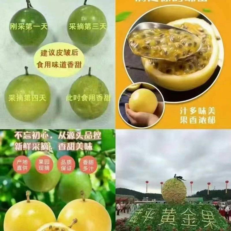 钦蜜百香果纯甜无酸大中小批发