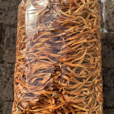 虫草花干品，一包一公斤。