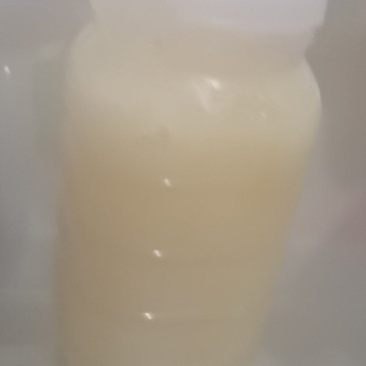 纯蜂蜜