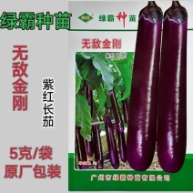 绿霸无敌金刚紫红长茄子种子烧烤茄子春秋冬季播蔬菜种子紫红