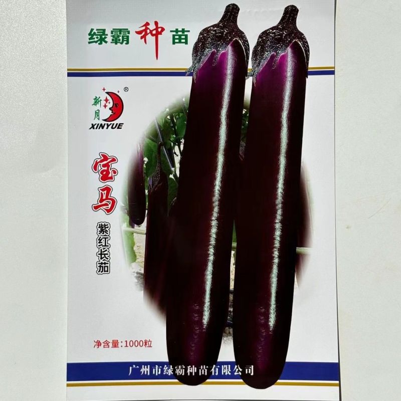 绿霸宝马紫红长茄种子紫红色长条茄不变色春秋冬季茄子种子中