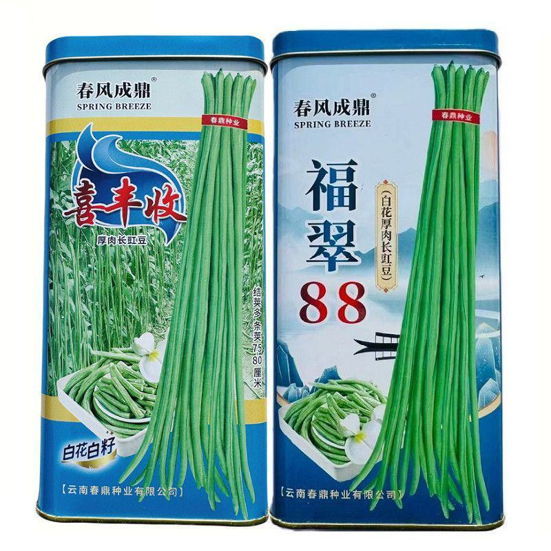白籽白花长豇豆种子福翠88喜丰收豇豆种子厚肉翠绿色长