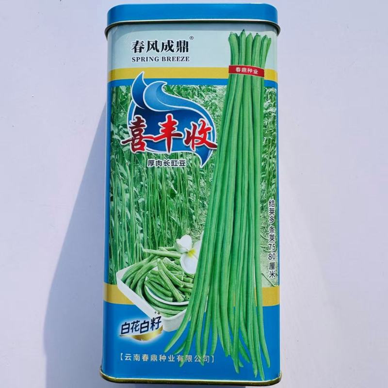 白籽白花长豇豆种子福翠88喜丰收豇豆种子厚肉翠绿色长