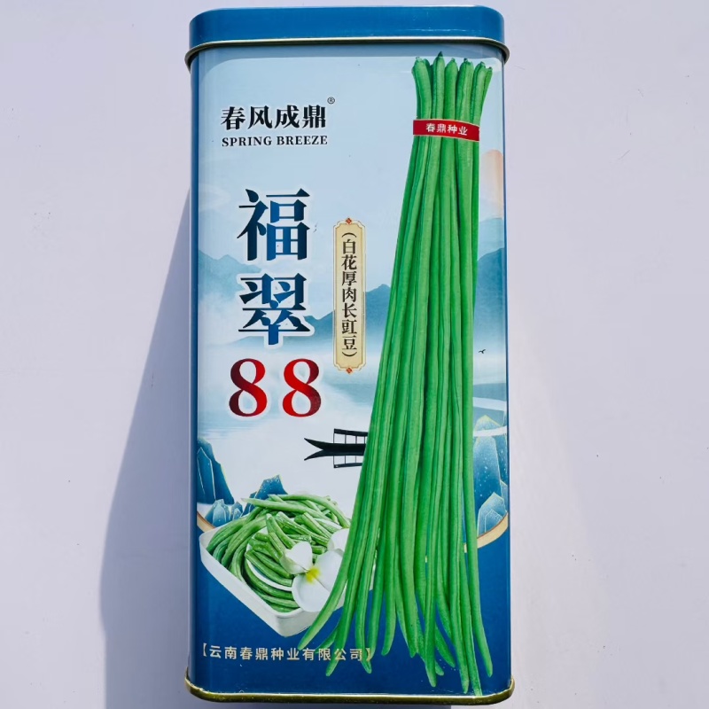 白籽白花长豇豆种子福翠88喜丰收豇豆种子厚肉翠绿色长