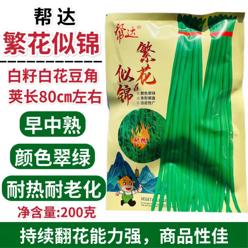 帮达繁花似锦豆角种子白籽白花豆角种籽翠绿色豇豆种子耐热性