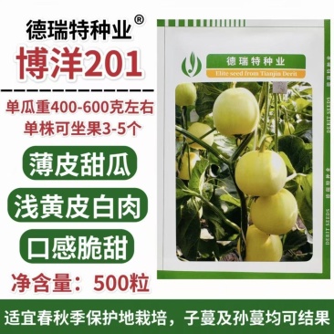 正宗博洋201甜瓜种子德瑞特甜瓜种籽早熟薄皮白肉高产20
