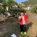 四川耙耙柑新鲜采摘整车批发