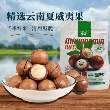 夏威夷果源头工厂批发各种电商一件代发夏威夷果