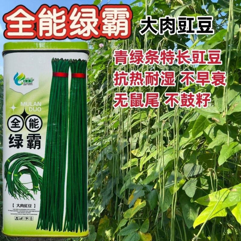 慕兰多全能绿霸长豆角种子青绿条白籽白花豇豆种子抗热耐湿基