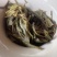布朗山古树茶