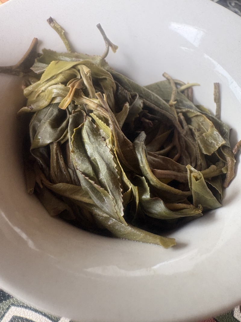 布朗山古树茶