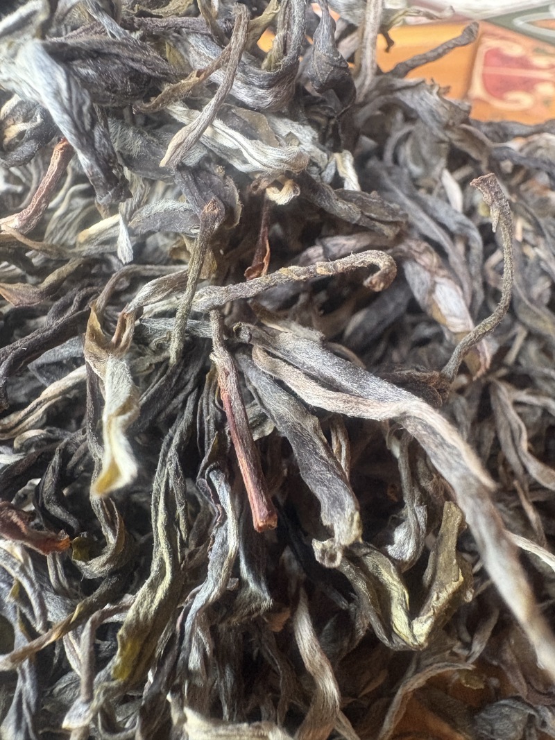 布朗山古树茶