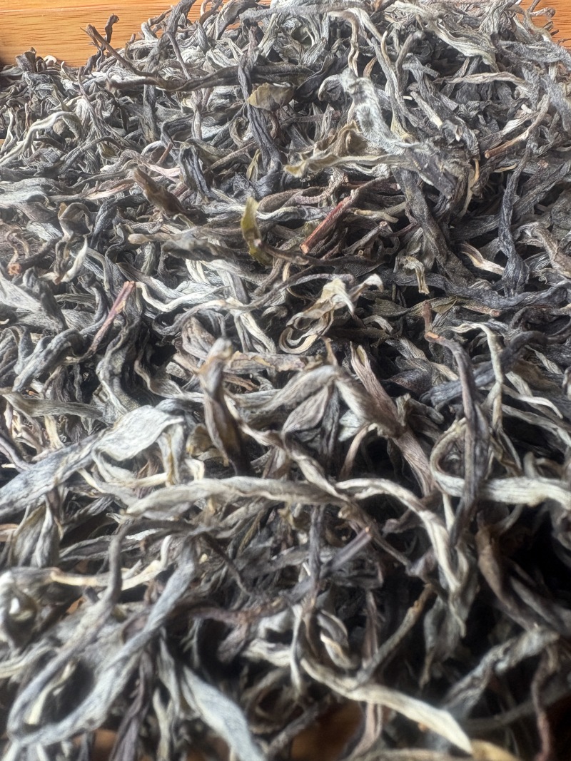 布朗山古树茶