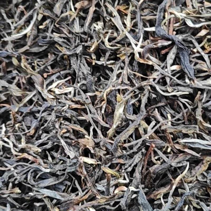 布朗山古树茶