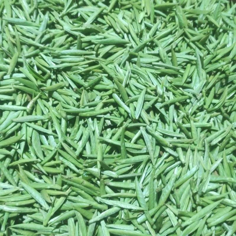 安溪高山野生单芽梅占金骏眉,2026明前茶高山手工功夫茶