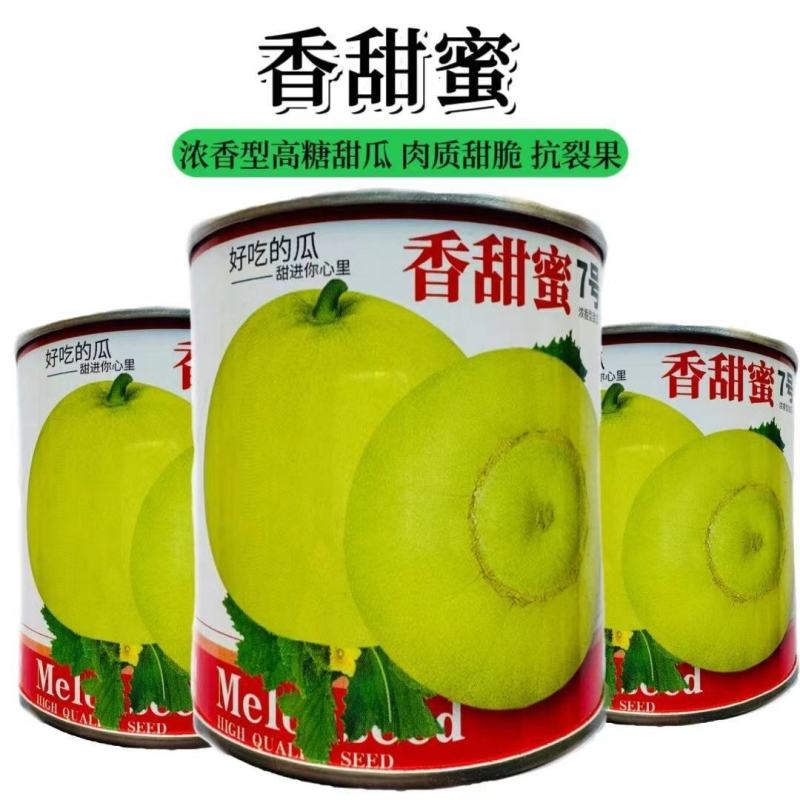 香甜蜜7号甜瓜种子早熟甜脆薄皮浓香圆球型甜瓜高糖香瓜种子