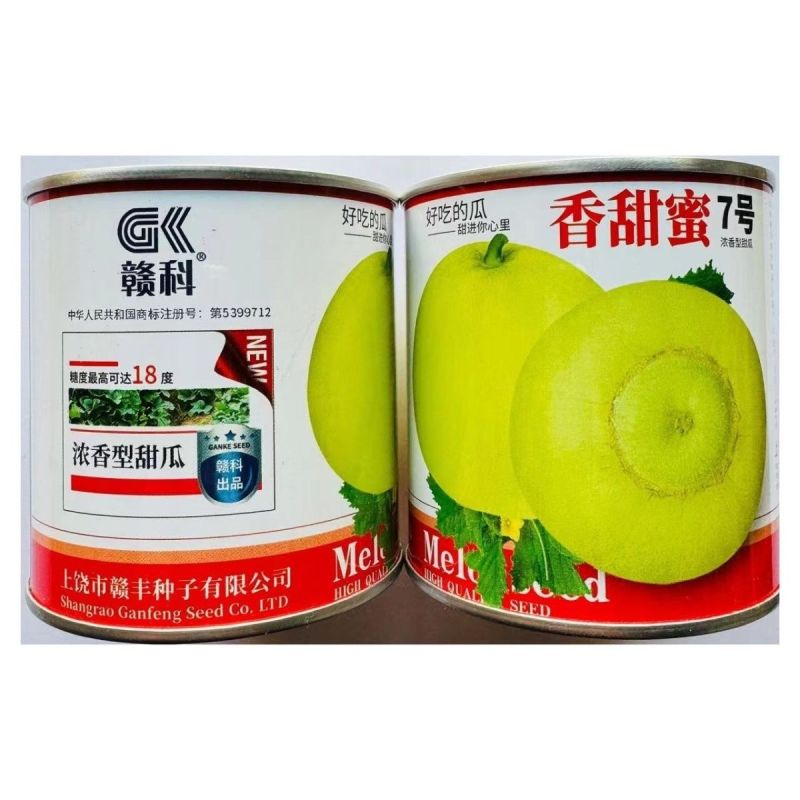 香甜蜜7号甜瓜种子早熟甜脆薄皮浓香圆球型甜瓜高糖香瓜种子
