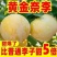 正宗嫁接黄金奈李子树苗脱骨南北方庭院种植盆栽地栽耐寒