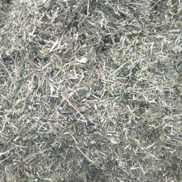 穿心莲，产地直发，支持视频看货，货源充足