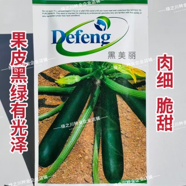 韩国引进墨玉西葫芦种子脆甜老瓜墨绿色西葫芦种籽基地专用