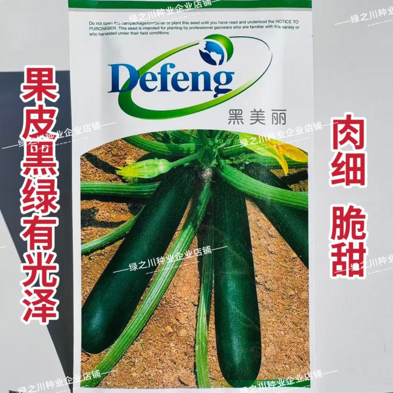 韩国引进墨玉西葫芦种子脆甜老瓜墨绿色西葫芦种籽基地专用