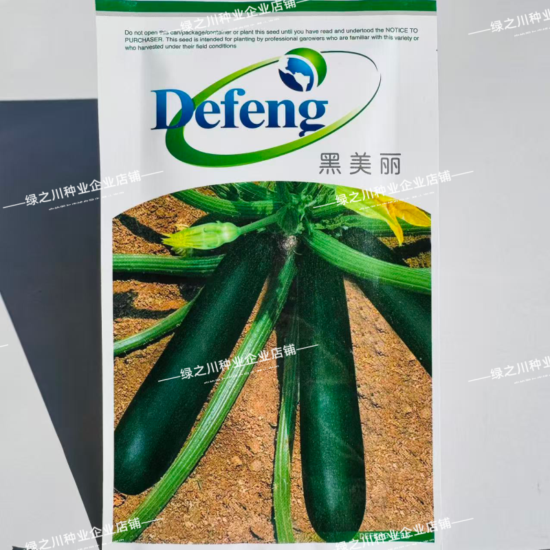 韩国引进墨玉西葫芦种子脆甜老瓜墨绿色西葫芦种籽基地专用