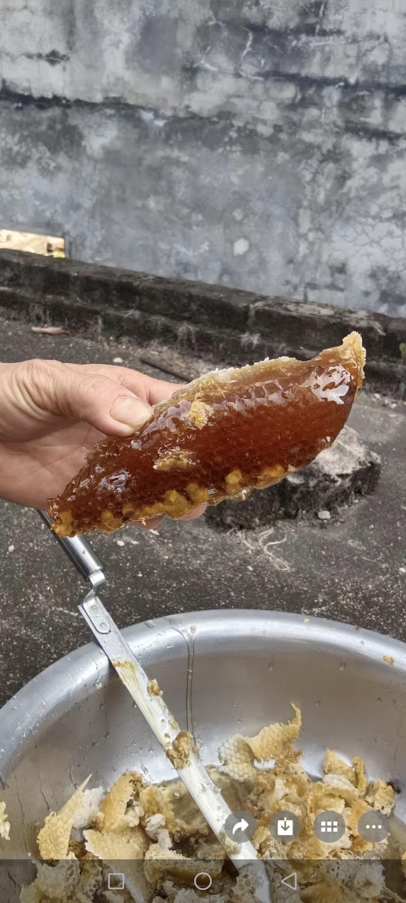 蜂蜜