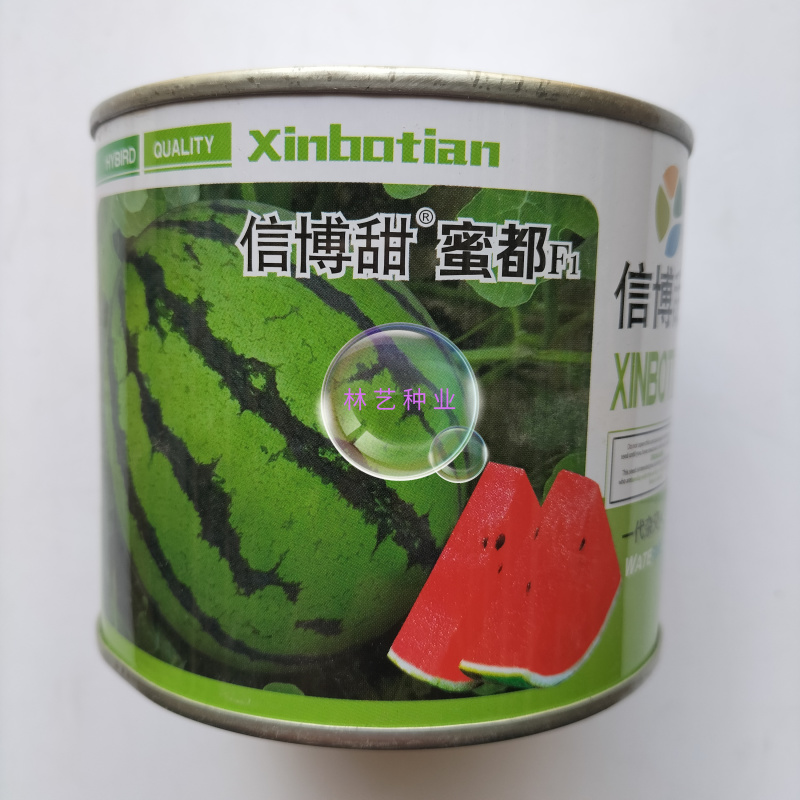 信博甜蜜都西瓜种子中早熟肉质沙脆爽口西瓜丰产抗病耐储运