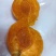 帝王杏苗