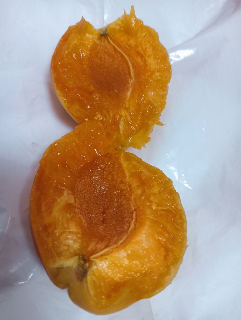 帝王杏苗