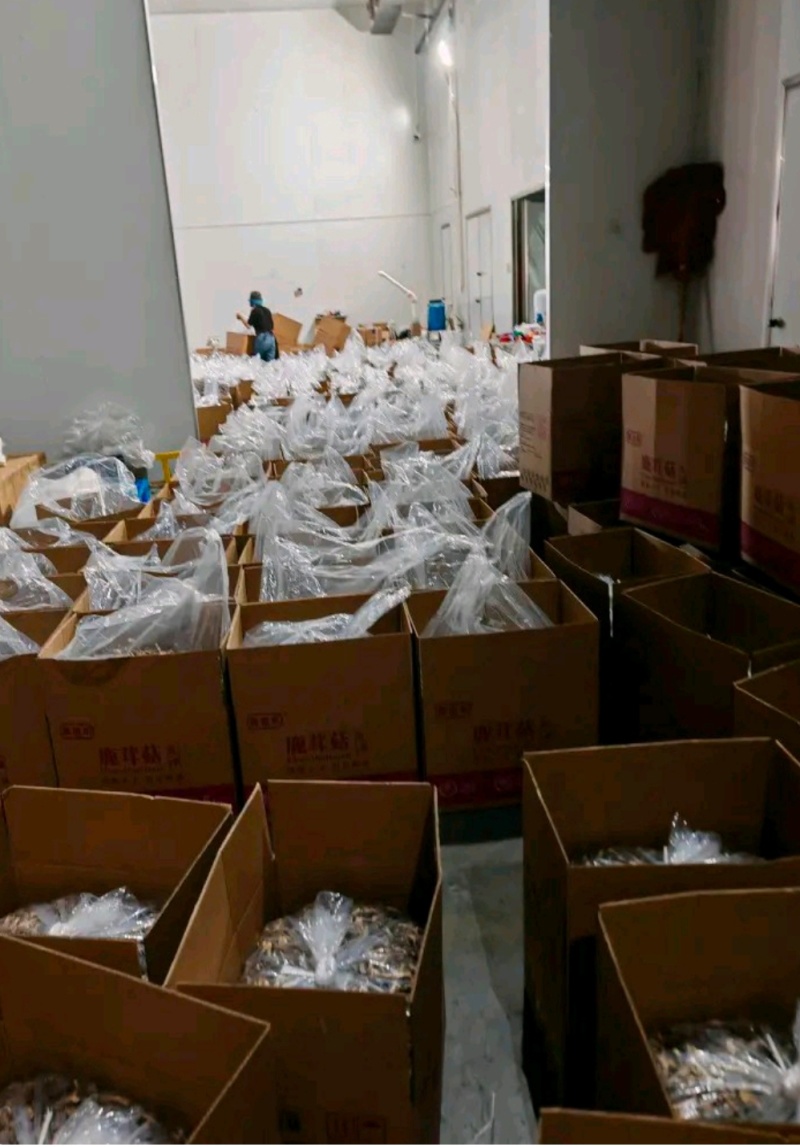 新品鹿茸菇干货10斤整件批发价鹿茸菇高品质脆菇特产鹿茸菇