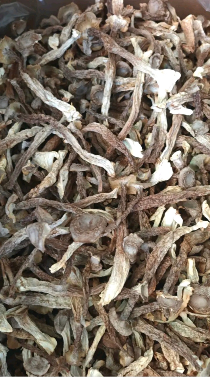 新品鹿茸菇干货10斤整件批发价鹿茸菇高品质脆菇特产鹿茸菇